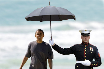 Image result for obamas on vacation