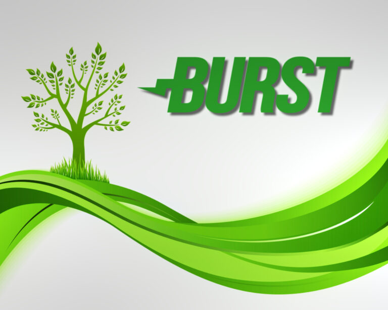 If You Care About the Planet, Forget Bitcoin, Buy Burstcoin Instead