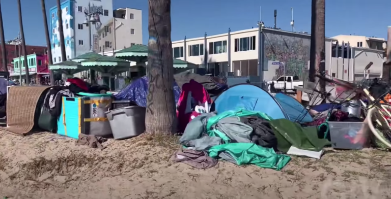 Daily Squib Giving FREE Holidays Away to Venice Beach California