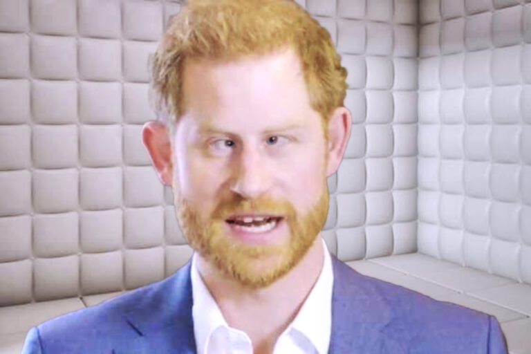 Prince Harry Therapist Could Be Woke Programmer