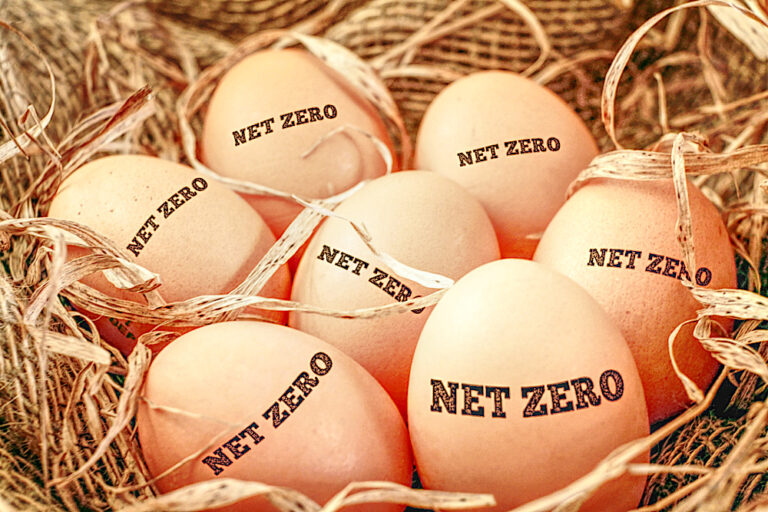 Net Zero: Putting All One’s Eggs in One Basket