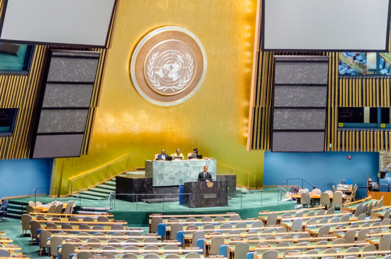 Harry Preaches to Empty Seats at UN General Assembly