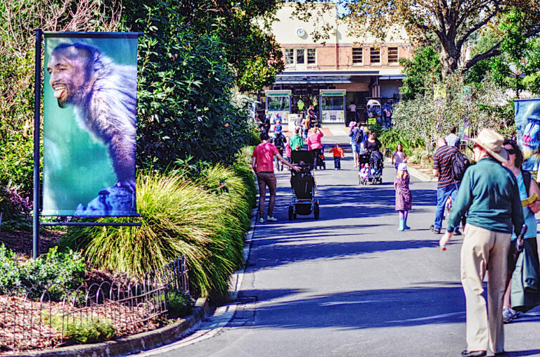 Nick Kyrgios Will Be Displayed at London Zoo Ape House