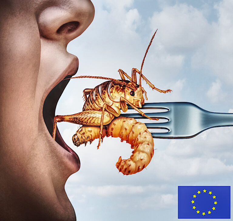 BBC Mourns Loss of EU Directive Forcing Us to Eat Insects