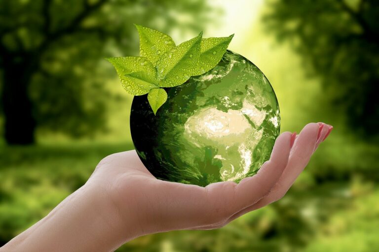 Path Towards A Sustainable Earth