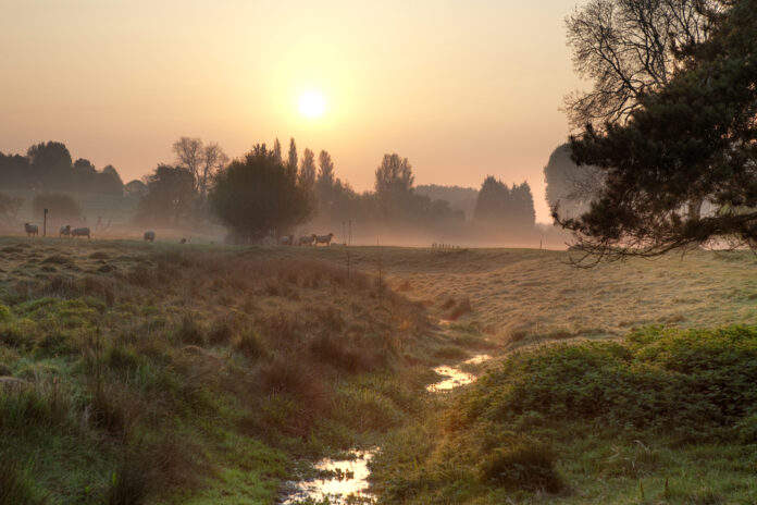 Misty morning in the English countryside eco and green groups