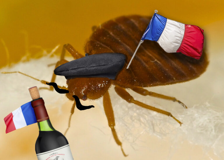 Parisian Bedbugs are Rude, Arrogant Yet Quite Stylish