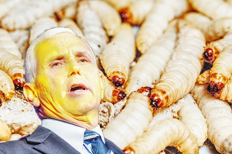 Retired Mike Pence to Open Maggot Farm in Wisconsin