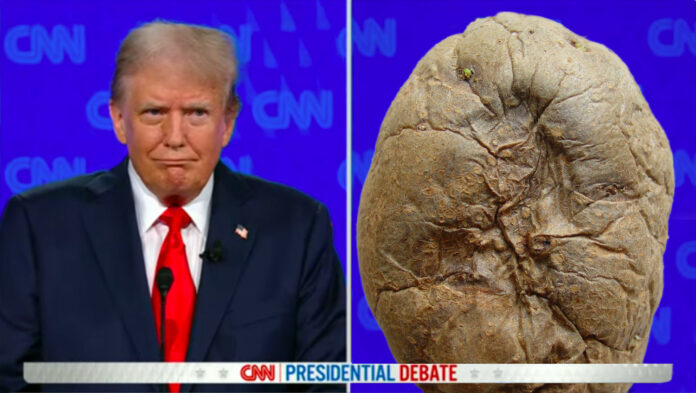 presidential debate trump potato Democrats