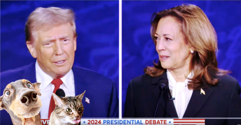 Second Presidential Debate: Kamala Harris Won After Trump Triggered