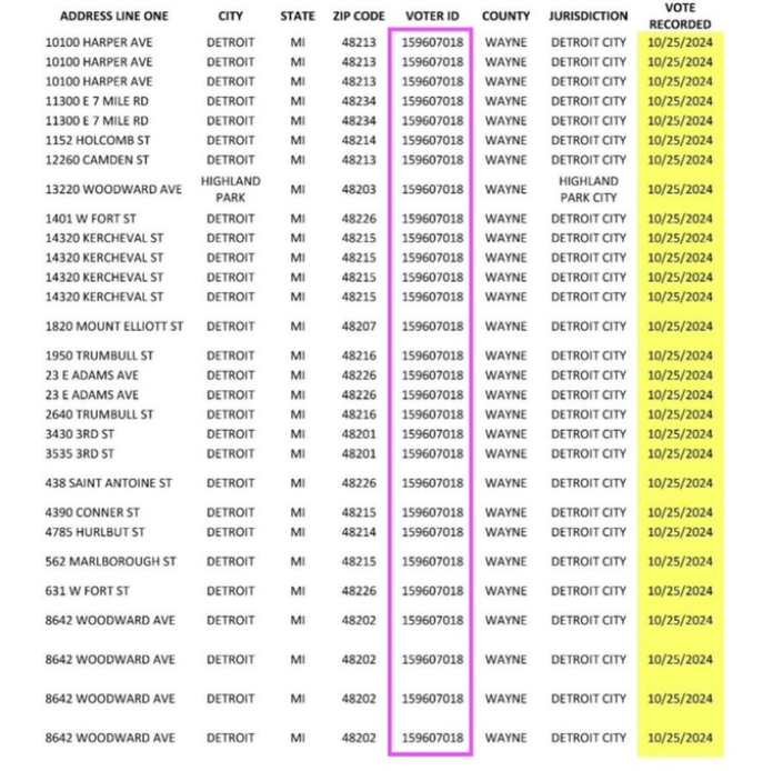 one voter voted 29 times